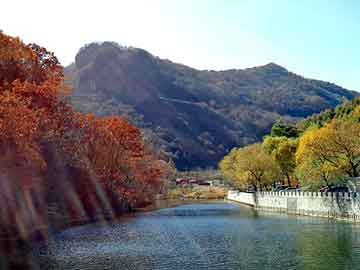 新澳天天开奖资料大全旅游团，装仓机